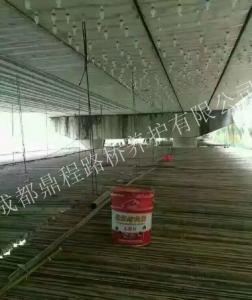 德陽橋梁裂縫修補 德陽橋梁裂縫修補
