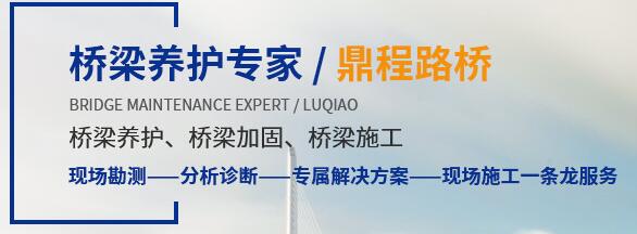 成都橋梁支座更換 成都橋梁支座更換